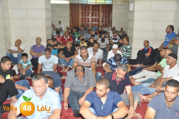 bazsalah lud 712 (12).JPG